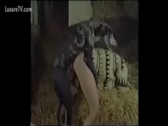 Similarly, a woman makes animals come into her pig and fucks it.